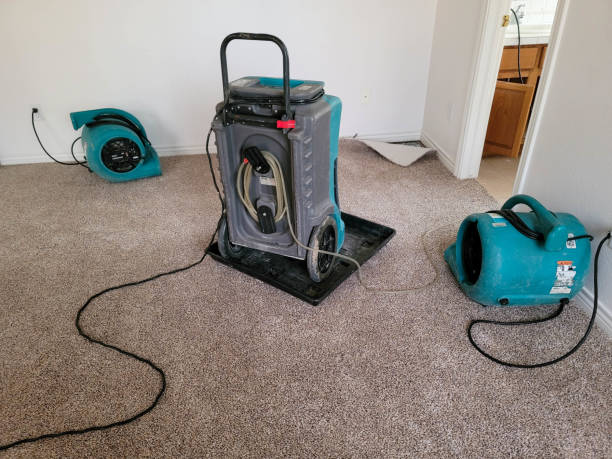 Best Fire Damage Restoration  in New Bedford, PA