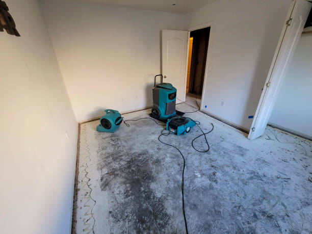 Best Residential water damage restoration  in New Bedford, PA