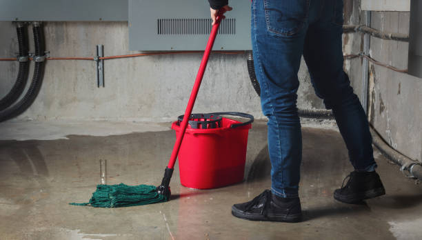Best Mold removal after water damage  in New Bedford, PA