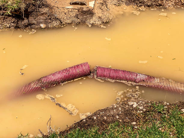 Best Carpet water damage restoration  in New Bedford, PA