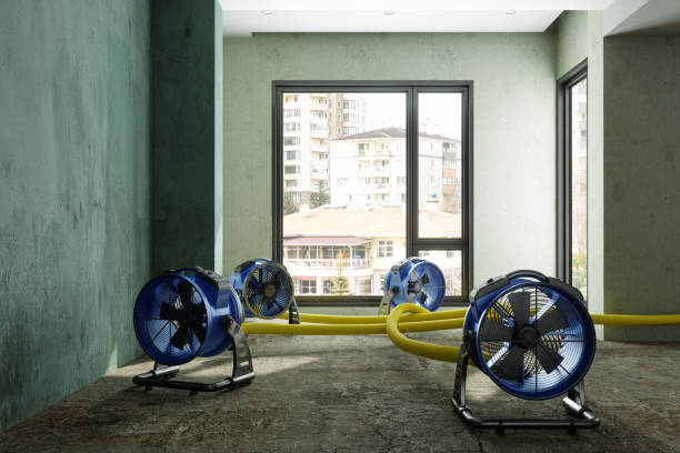 Best Local water damage restoration  in New Bedford, PA